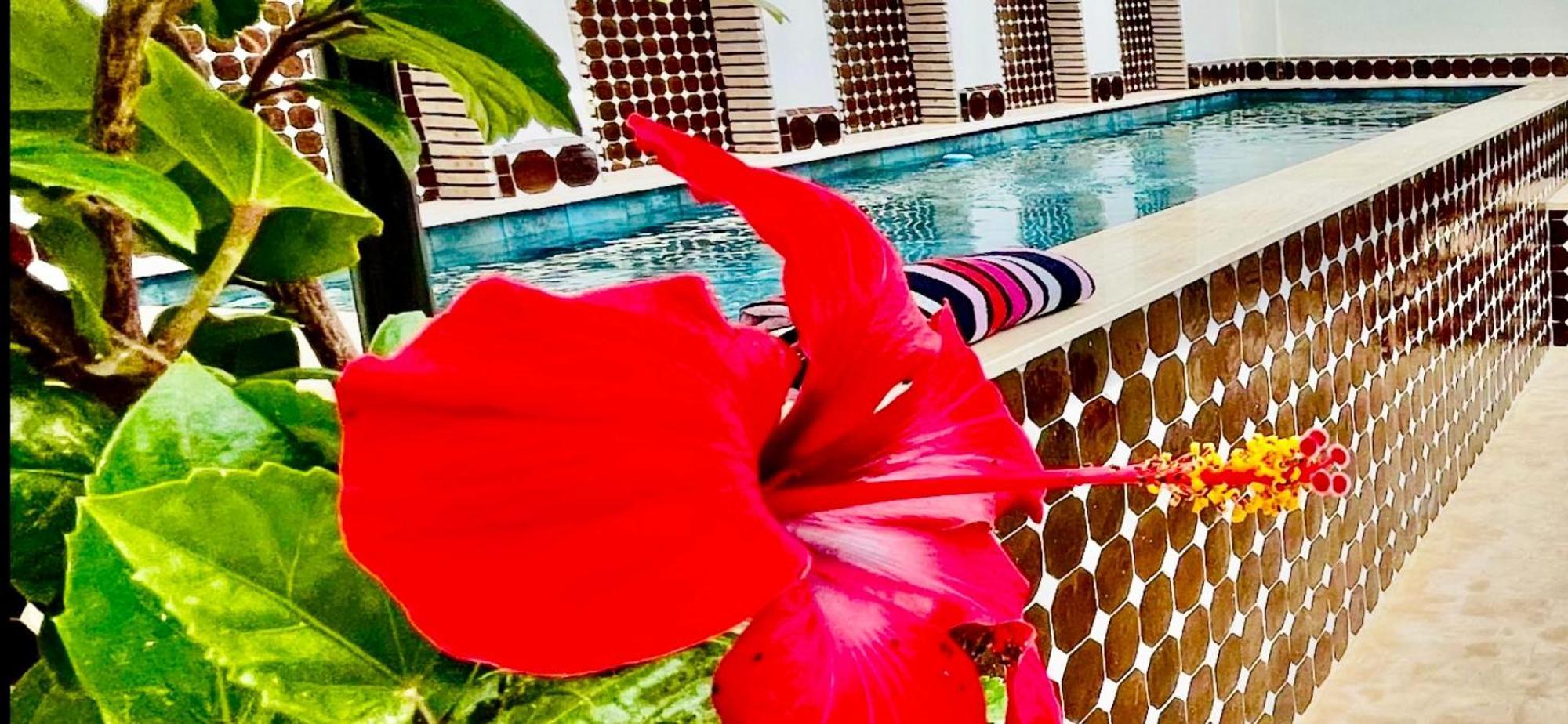 Dar Najat Hotel Marrakesh Luaran gambar